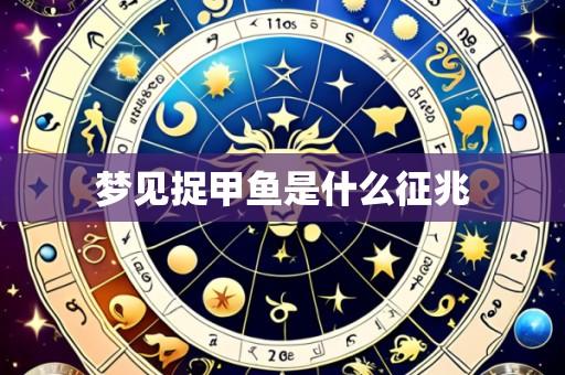 梦见捉甲鱼是什么征兆