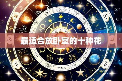 最适合放卧室的十种花