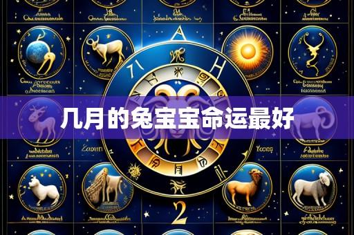 几月的兔宝宝命运最好