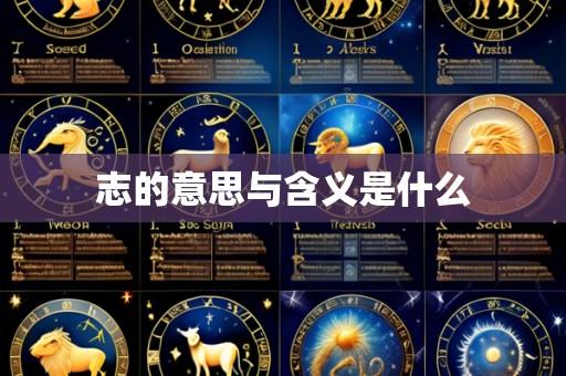 志的意思与含义是什么