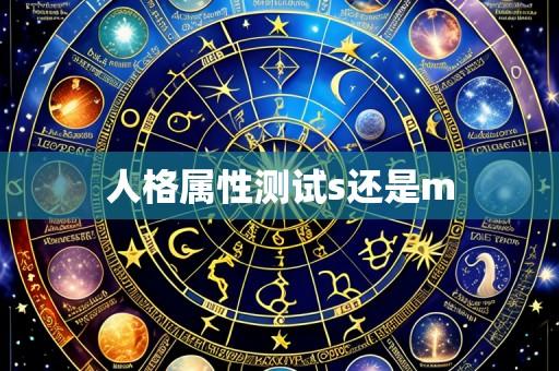 人格属性测试s还是m