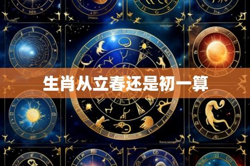 生肖从立春还是初一算