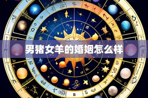 男猪女羊的婚姻怎么样