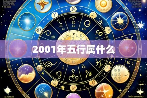 2001年五行属什么