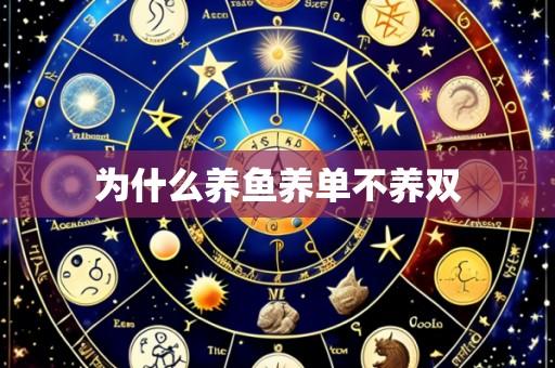 为什么养鱼养单不养双