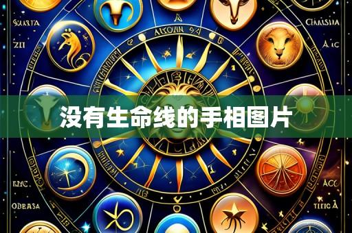 没有生命线的手相图片