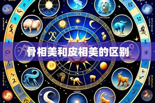 骨相美和皮相美的区别