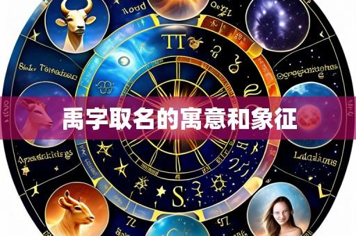 禹字取名的寓意和象征
