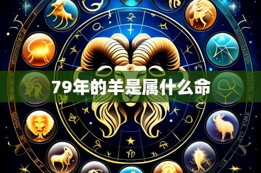 79年的羊是属什么命