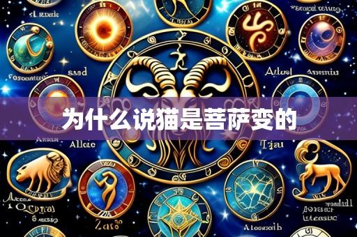 为什么说猫是菩萨变的