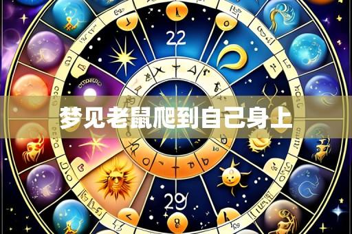 梦见老鼠爬到自己身上