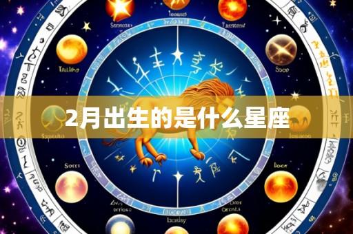 2月出生的是什么星座