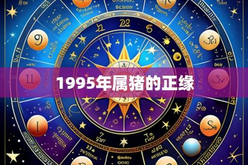 1995年属猪的正缘