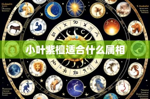 小叶紫檀适合什么属相