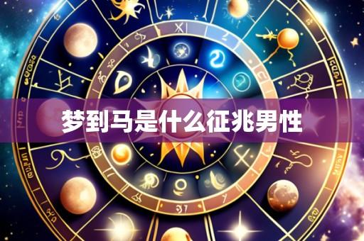梦到马是什么征兆男性