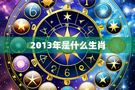 2013年是什么生肖