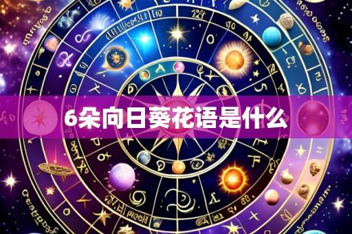 6朵向日葵花语是什么