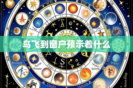鸟飞到窗户预示着什么