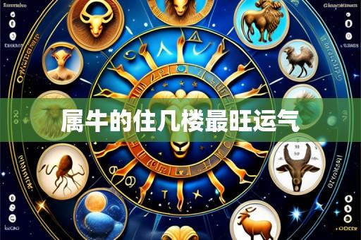 属牛的住几楼最旺运气