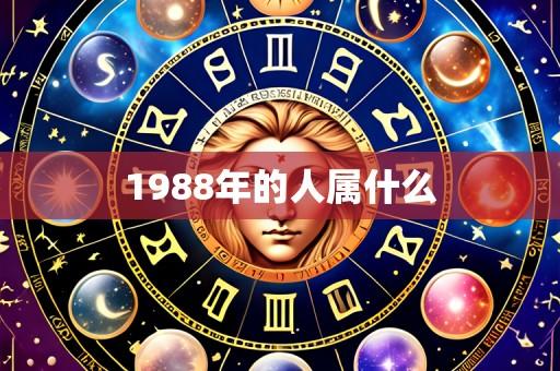 1988年的人属什么