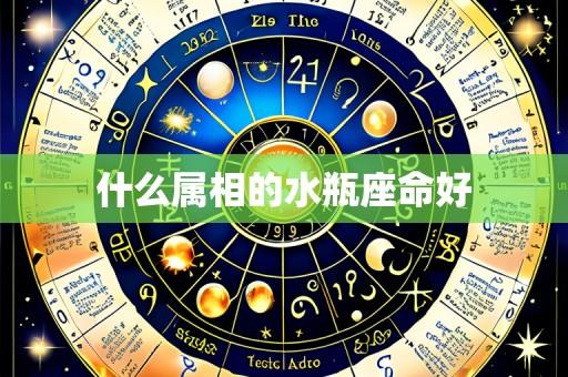 什么属相的水瓶座命好