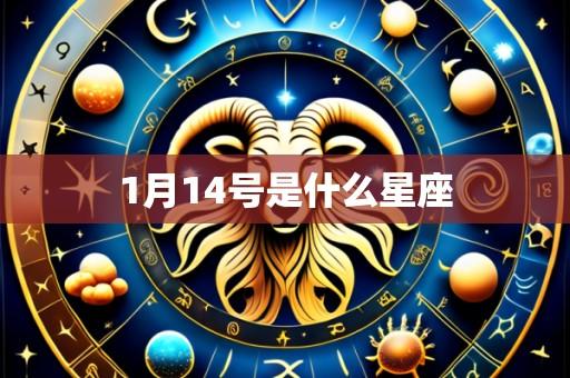 1月14号是什么星座