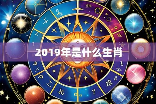 2019年是什么生肖
