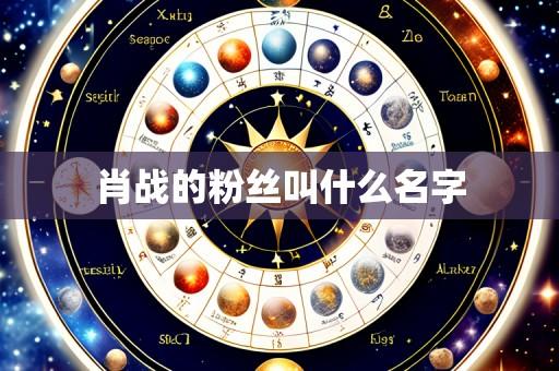 肖战的粉丝叫什么名字