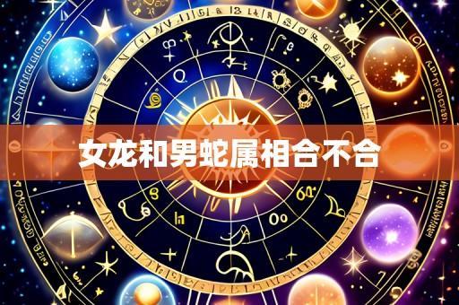 女龙和男蛇属相合不合