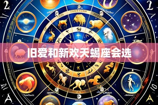旧爱和新欢天蝎座会选