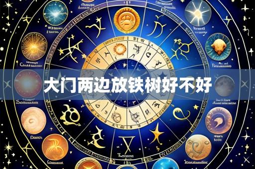 大门两边放铁树好不好
