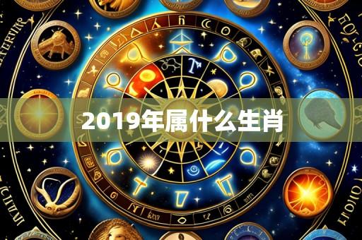 2019年属什么生肖