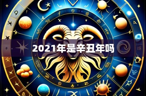 2021年是辛丑年吗
