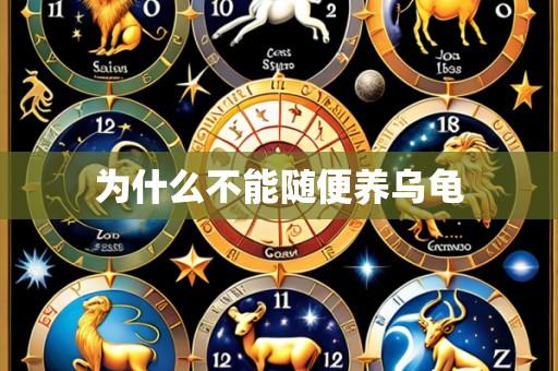 为什么不能随便养乌龟