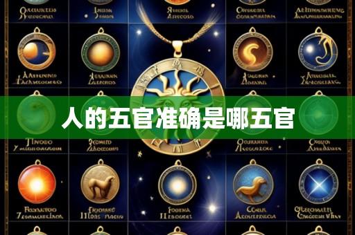 人的五官准确是哪五官