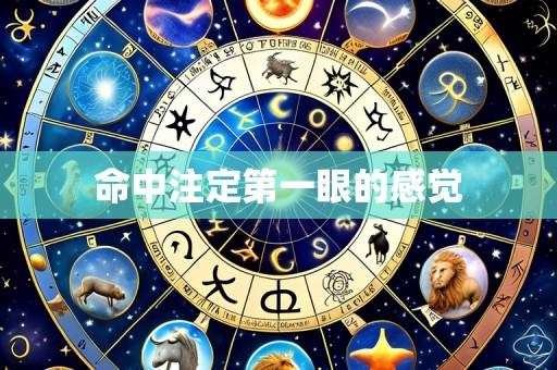 命中注定第一眼的感觉