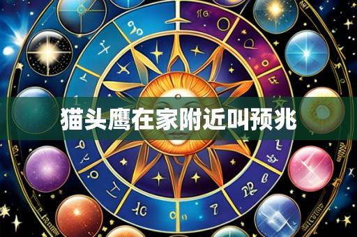 猫头鹰在家附近叫预兆
