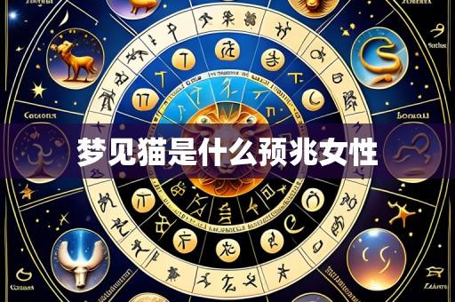 梦见猫是什么预兆女性
