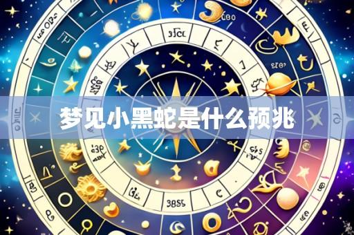 梦见小黑蛇是什么预兆