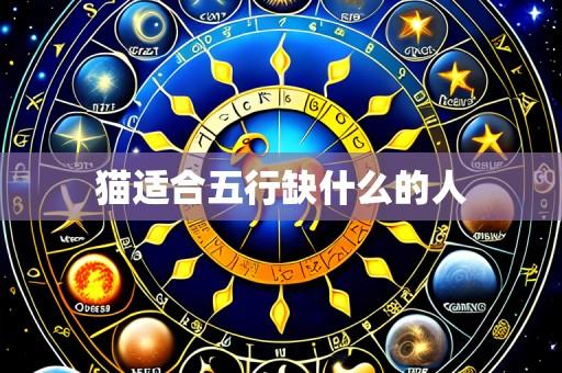 猫适合五行缺什么的人