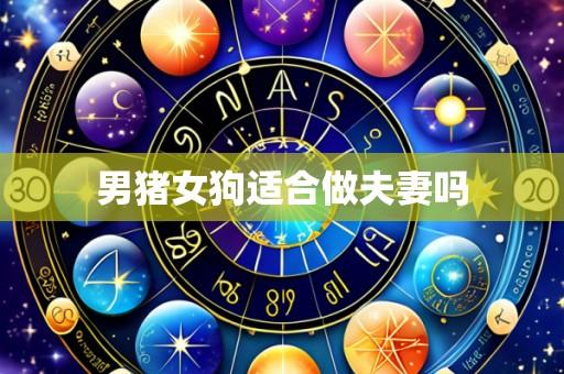 男猪女狗适合做夫妻吗