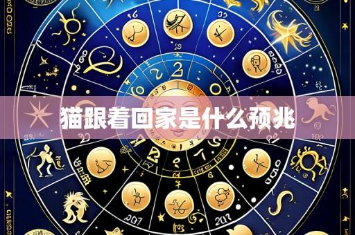 猫跟着回家是什么预兆