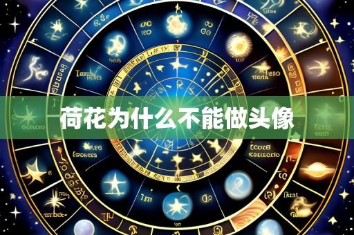 荷花为什么不能做头像