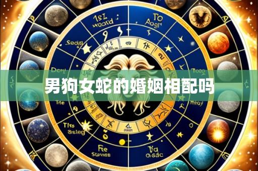 男狗女蛇的婚姻相配吗