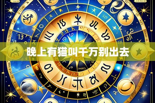 晚上有猫叫千万别出去