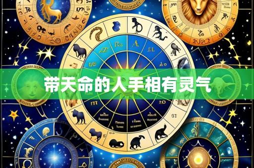 带天命的人手相有灵气