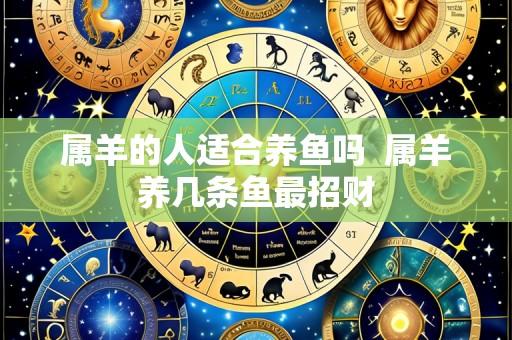 属羊的人适合养鱼吗 属羊养几条鱼最招财
