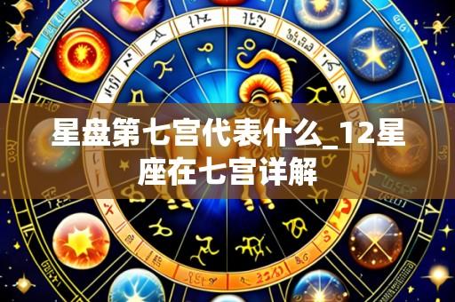 星盘第七宫代表什么_12星座在七宫详解