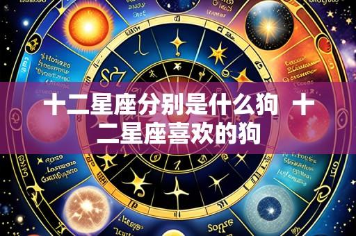 十二星座分别是什么狗 十二星座喜欢的狗