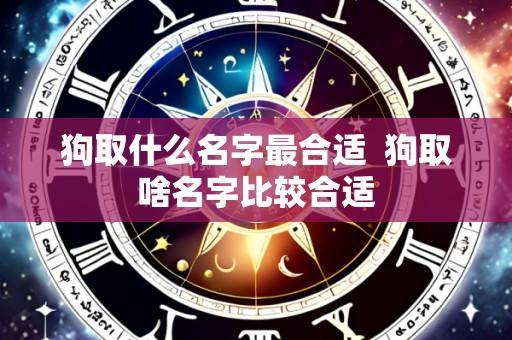 狗取什么名字最合适 狗取啥名字比较合适